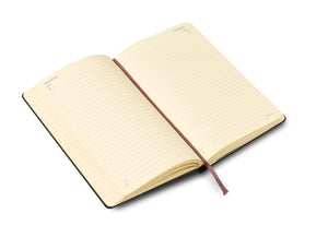 Moleskine® Hard Cover Large 12-Month Daily 2021 Planner